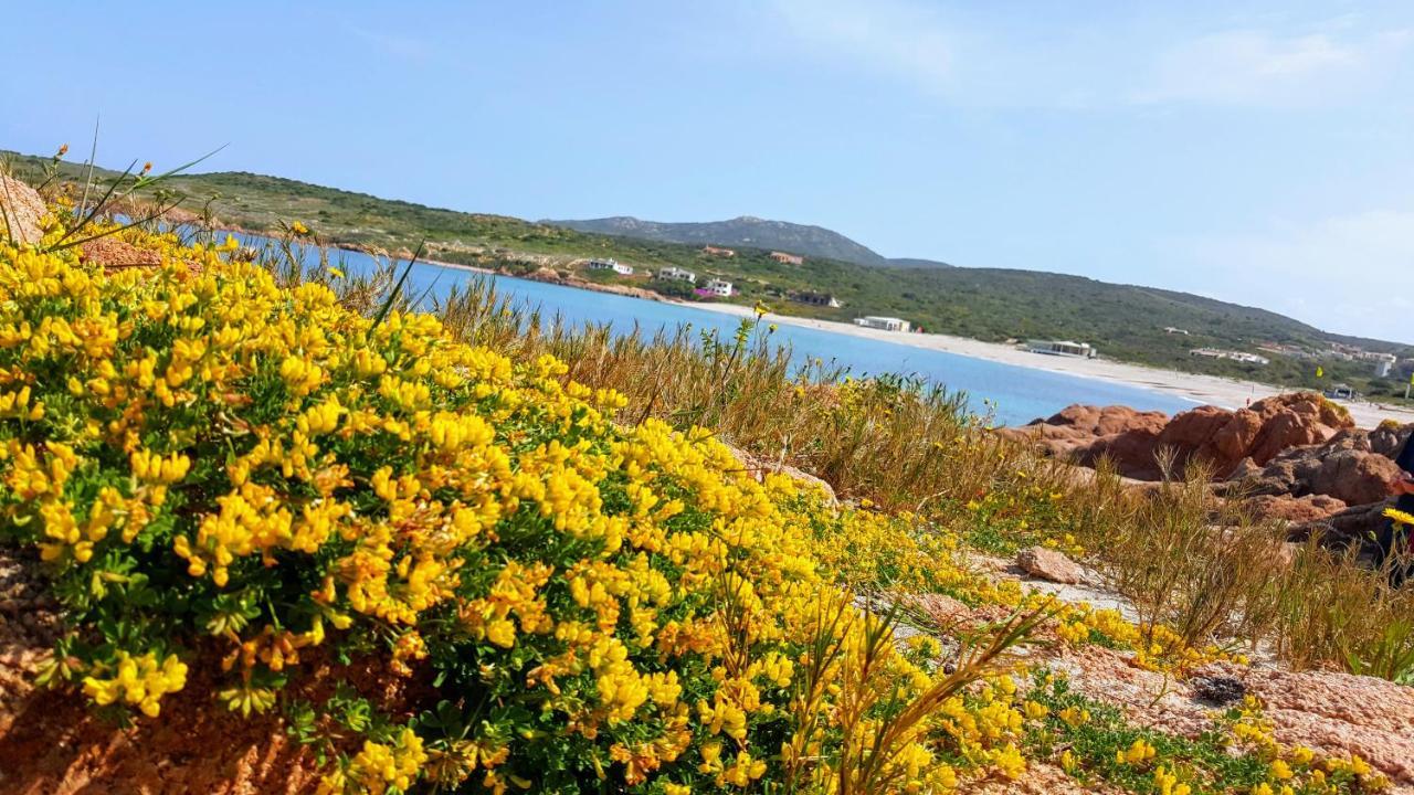 Casa Vacanza Costa Rossa Vista Mare Trinita d'Agultu e Vignola Экстерьер фото
