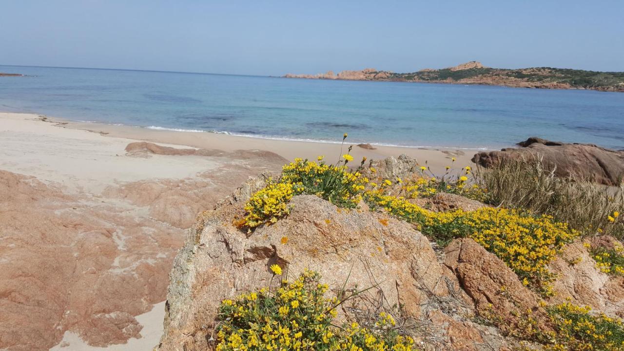Casa Vacanza Costa Rossa Vista Mare Trinita d'Agultu e Vignola Экстерьер фото